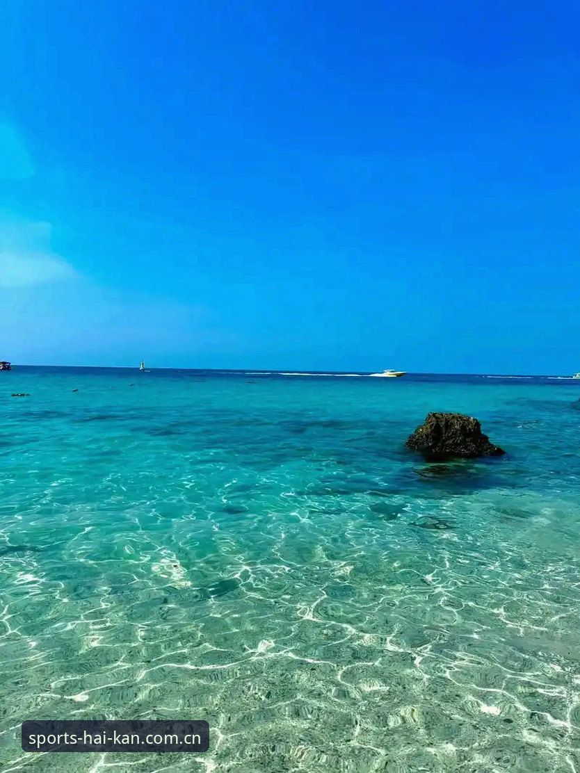 海看CN官网入口 海看体育平台官网入口详解:从下载到数据,一个入口解决所有烦恼
